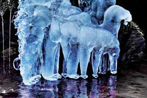 led; fotografija narava #08