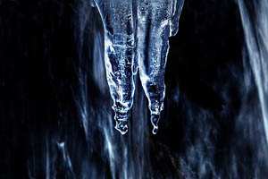 led; fotografija narava #04